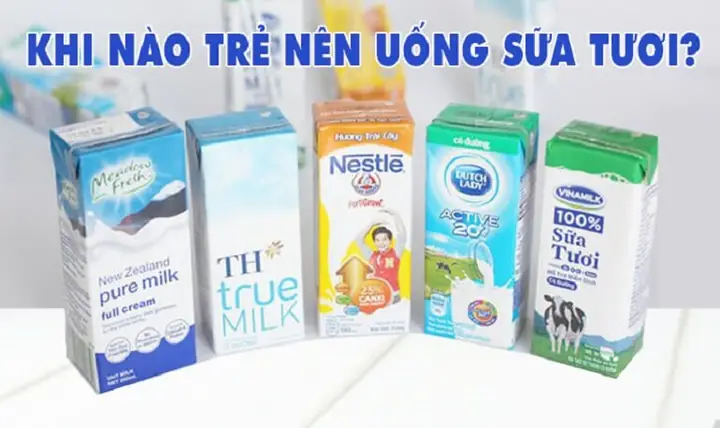Top Các Loại Sữa Tươi Cho Trẻ 1 Tuổi Tốt Nhất: Hướng Dẫn Chọn Sữa Tăng Cân & Phát Triển Toàn Diện Top Các Loại Sữa Tươi Cho Trẻ 1 Tuổi Tốt Nhất: Hướng Dẫn Chọn Sữa Tăng Cân & Phát Triển Toàn Diện
