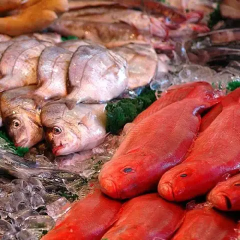 Bà Bầu Nên Ăn Loại Cá Nào? 8+ Loại Cá Tốt Cho Thai Kỳ Khỏe Mạnh & Bé Thông Minh