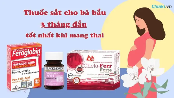 Top Các Loại Viên Sắt Cho Bà Bầu Tốt Nhất, Dễ Hấp Thu Và Được Khuyên Dùng Top Các Loại Viên Sắt Cho Bà Bầu Tốt Nhất, Dễ Hấp Thu Và Được Khuyên Dùng