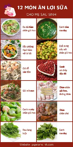 15+ Món Ăn Lợi Sữa Cho Mẹ Sau Sinh Giúp Gọi Sữa Về Nhanh & Đủ Dinh Dưỡng