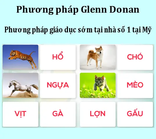 Khám Phá Các Phương Pháp Giáo Dục Sớm Cho Trẻ Sơ Sinh Hiệu Quả Nhất Hiện Nay