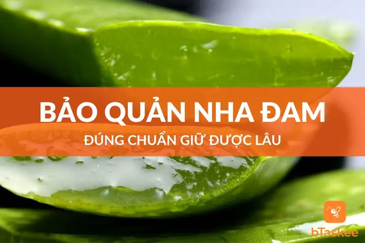 Cách Bảo Quản Gel Nha Đam Tươi Lâu Tại Nhà: Bí Quyết Giữ Vẹn Nguyên Công Dụng Dưỡng Da