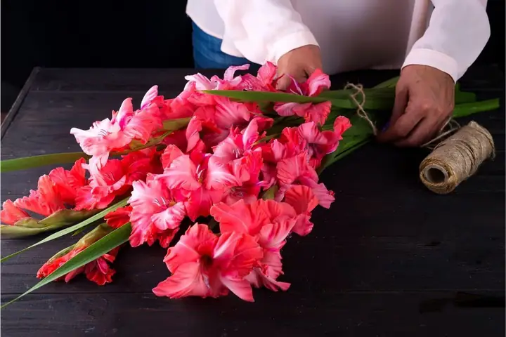Hướng Dẫn Chi Tiết Cách Bó Hoa Lay Ơn Đẹp, Tươi Lâu Đón Tết Kèm Bí Quyết Chọn Hoa Hướng Dẫn Chi Tiết Cách Bó Hoa Lay Ơn Đẹp, Tươi Lâu Đón Tết Kèm Bí Quyết Chọn Hoa