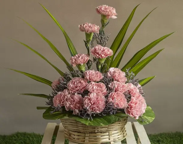 Hướng Dẫn Chi Tiết Cách Cắm Hoa Cẩm Chướng Để Bàn Đẹp, Tươi Lâu Hướng Dẫn Chi Tiết Cách Cắm Hoa Cẩm Chướng Để Bàn Đẹp, Tươi Lâu