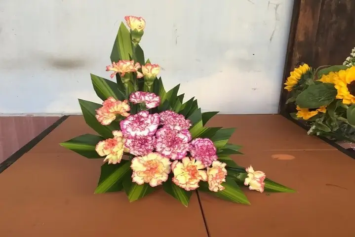 Hướng Dẫn Chi Tiết Cách Cắm Hoa Cẩm Chướng Để Bàn Đẹp, Tươi Lâu Hướng Dẫn Chi Tiết Cách Cắm Hoa Cẩm Chướng Để Bàn Đẹp, Tươi Lâu