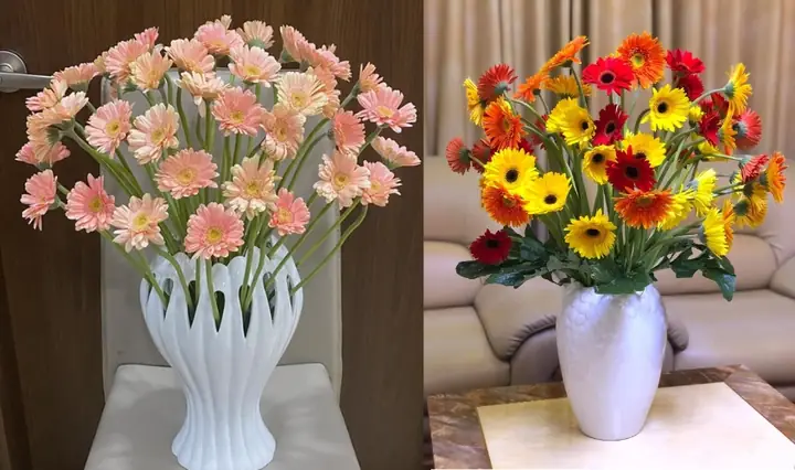 Bí Quyết Cắm Hoa Đồng Tiền Đơn Giản, Đẹp Tự Nhiên & Tươi Lâu Bất Ngờ