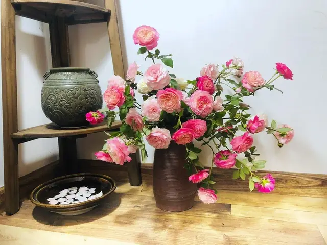 Bí Quyết Cắm Hoa Hồng Leo Đẹp Chuẩn Chuyên Gia: Hướng Dẫn Chi Tiết Cho Mọi Không Gian