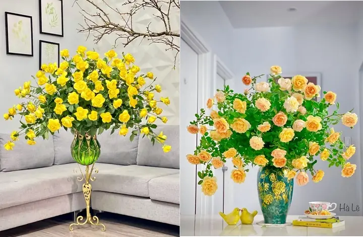 Hướng Dẫn Chi Tiết Cách Cắm Hoa Hồng Leo Vàng Thẩm Mỹ & Tươi Lâu Hướng Dẫn Chi Tiết Cách Cắm Hoa Hồng Leo Vàng Thẩm Mỹ & Tươi Lâu