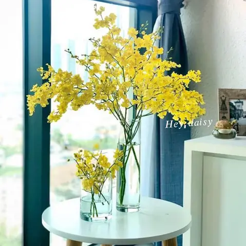 Hướng Dẫn Cách Cắm Hoa Lan Vũ Nữ Đẹp Chuẩn Chuyên Gia, Bền Lâu