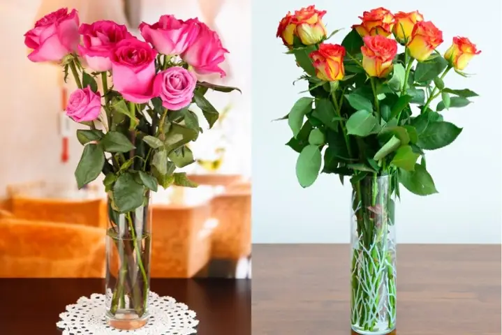 Hướng Dẫn Cách Cắm Hoa Hồng Để Bàn Đơn Giản, Tươi Lâu Chuẩn Phong Thủy