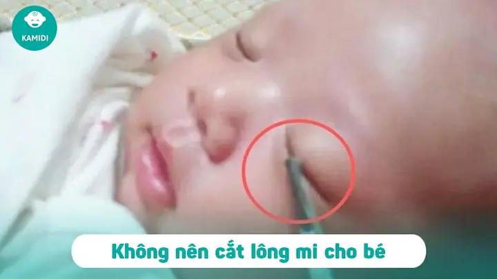 Cắt Lông Mi Cho Trẻ Sơ Sinh: Nên Hay Không Nên Và Cách Xử Lý An Toàn Cắt Lông Mi Cho Trẻ Sơ Sinh: Nên Hay Không Nên Và Cách Xử Lý An Toàn