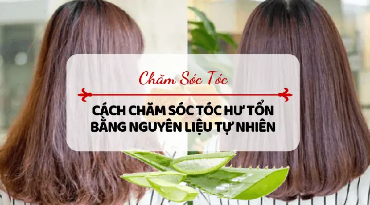 17+ Cách Phục Hồi Tóc Khô Xơ Đơn Giản, Hiệu Quả Tại Nhà Dễ Thực Hiện 17+ Cách Phục Hồi Tóc Khô Xơ Đơn Giản, Hiệu Quả Tại Nhà Dễ Thực Hiện