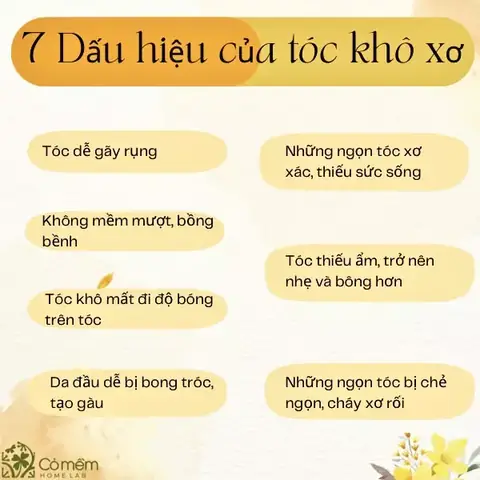 17+ Cách Phục Hồi Tóc Khô Xơ Đơn Giản, Hiệu Quả Tại Nhà Dễ Thực Hiện 17+ Cách Phục Hồi Tóc Khô Xơ Đơn Giản, Hiệu Quả Tại Nhà Dễ Thực Hiện
