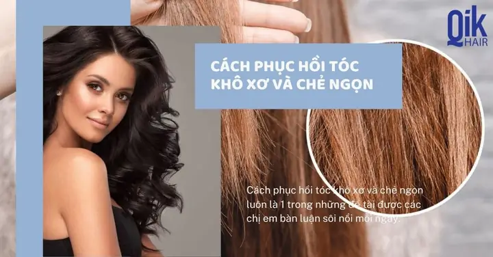 17+ Cách Phục Hồi Tóc Khô Xơ Đơn Giản, Hiệu Quả Tại Nhà Dễ Thực Hiện 17+ Cách Phục Hồi Tóc Khô Xơ Đơn Giản, Hiệu Quả Tại Nhà Dễ Thực Hiện