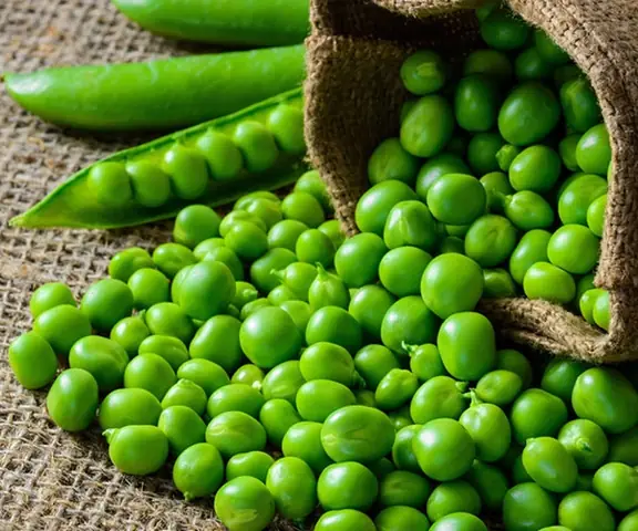 Cách Chế Biến Hạt Đậu Hà Lan Tươi Ngon Chuẩn Vị Nhà Hàng