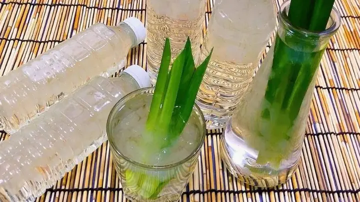 Hướng Dẫn Chi Tiết Cách Chế Biến Nước Nha Đam Giòn Ngon, Không Bị Nhớt Đắng Tại Nhà