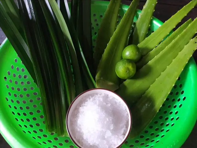 Hướng Dẫn Chi Tiết Cách Chế Biến Nước Nha Đam Giòn Ngon, Không Bị Nhớt Đắng Tại Nhà