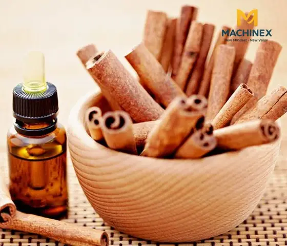 Hướng Dẫn Chưng Cất Tinh Dầu Quế Tại Nhà Đơn Giản, An Toàn Và Tiết Kiệm Hướng Dẫn Chưng Cất Tinh Dầu Quế Tại Nhà Đơn Giản, An Toàn Và Tiết Kiệm