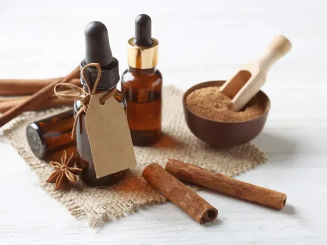 Hướng Dẫn Chưng Cất Tinh Dầu Quế Tại Nhà Đơn Giản, An Toàn Và Tiết Kiệm Hướng Dẫn Chưng Cất Tinh Dầu Quế Tại Nhà Đơn Giản, An Toàn Và Tiết Kiệm