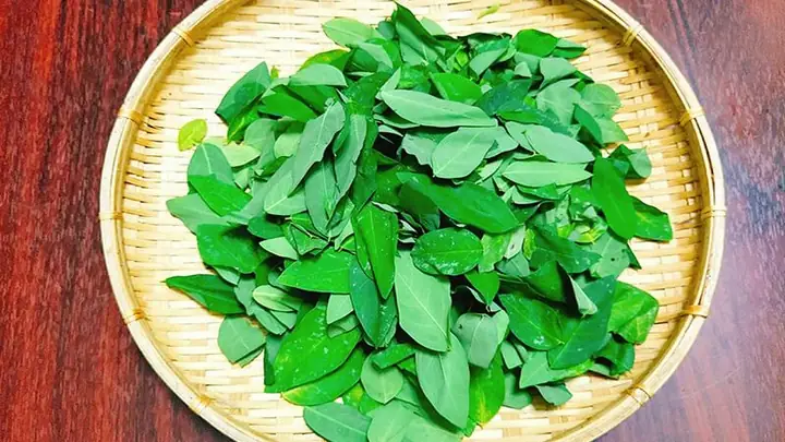 Cách Đánh Tưa Lưỡi Bằng Rau Ngót Cho Bé: Hướng Dẫn Chi Tiết & Lưu Ý An Toàn Cách Đánh Tưa Lưỡi Bằng Rau Ngót Cho Bé: Hướng Dẫn Chi Tiết & Lưu Ý An Toàn
