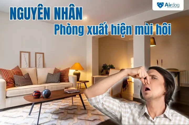 10+ Cách Làm Phòng Ngủ Luôn Thơm Mát, Tinh Thần Thư Thái, Tự Nhiên & An Toàn