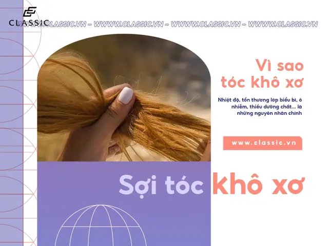 10+ Cách Dưỡng Tóc Bóng Mượt Tại Nhà Hiệu Quả Với Nguyên Liệu Tự Nhiên 10+ Cách Dưỡng Tóc Bóng Mượt Tại Nhà Hiệu Quả Với Nguyên Liệu Tự Nhiên