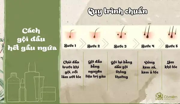 Cách Gội Đầu Hết Gàu Hiệu Quả & Ngăn Ngừa Tái Phát: Hướng Dẫn Chi Tiết Từ Chuyên Gia