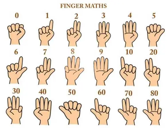 Cách Học Toán Bằng Ngón Tay: Phương Pháp Finger Math Cho Bé Hiệu Quả Cách Học Toán Bằng Ngón Tay: Phương Pháp Finger Math Cho Bé Hiệu Quả