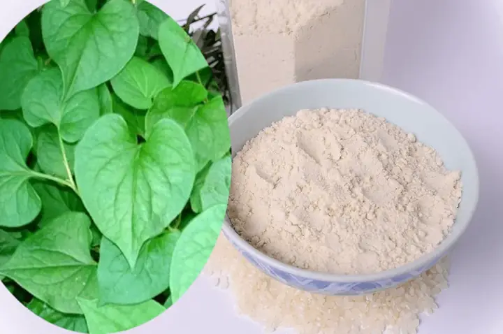 Cách Làm Cám Gạo Trà Xanh Tại Nhà: Hướng Dẫn Tinh Chế Da Sáng Mịn
