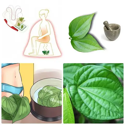 Bí Quyết Làm Hồng Và Se Khít Vùng Kín Tự Nhiên Tại Nhà An Toàn Tuyệt Đối