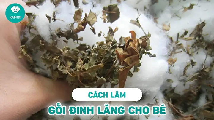 Cách Làm Gối Lá Đinh Lăng Cho Trẻ Ngủ Ngon, Chống Mồ Hôi Trộm Tại Nhà Cách Làm Gối Lá Đinh Lăng Cho Trẻ Ngủ Ngon, Chống Mồ Hôi Trộm Tại Nhà