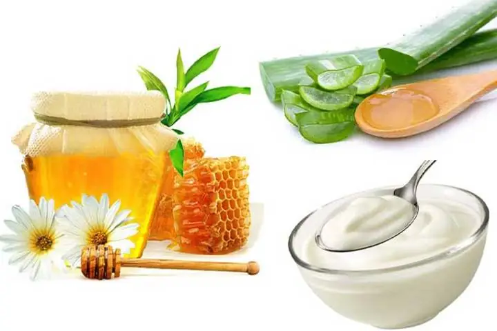 Hướng Dẫn Chi Tiết Cách Làm Mặt Nạ Nha Đam Sữa Chua Mật Ong Dưỡng Da Sáng Mịn