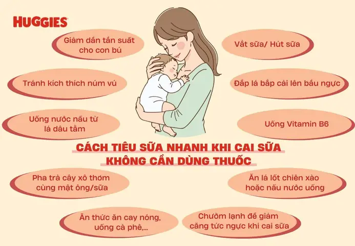 Hết Sữa Sau Cai? 7+ Bí Quyết Giảm Lượng Sữa Nhanh Chóng Và An Toàn