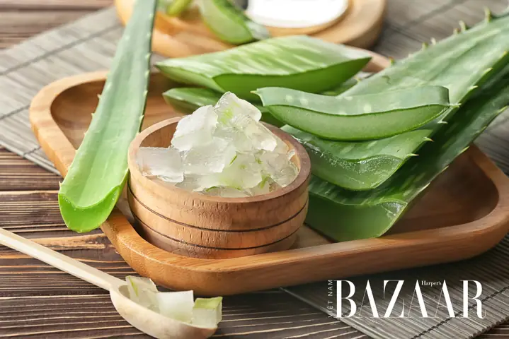 Cách Làm Nước Ép Lô Hội Thanh Mát Giảm Cân Đẹp Da Tại Nhà Dễ Dàng Cách Làm Nước Ép Lô Hội Thanh Mát Giảm Cân Đẹp Da Tại Nhà Dễ Dàng