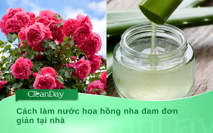Tự Làm Nước Hoa Hồng Nha Đam Dưỡng Da Tại Nhà: Hướng Dẫn Chi Tiết Từ A-z