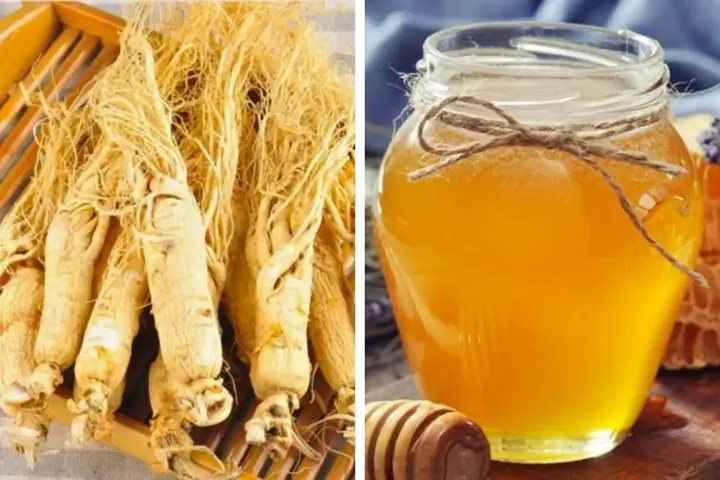 Cách Làm Sâm Ngâm Mật Ong Nghệ Thơm Ngon, Bổ Dưỡng Tại Nhà Cách Làm Sâm Ngâm Mật Ong Nghệ Thơm Ngon, Bổ Dưỡng Tại Nhà