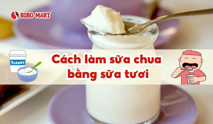 Hướng Dẫn Chi Tiết Cách Làm Sữa Chua Bằng Sữa Tươi Thơm Ngon, Mịn Màng Tại Nhà Hướng Dẫn Chi Tiết Cách Làm Sữa Chua Bằng Sữa Tươi Thơm Ngon, Mịn Màng Tại Nhà