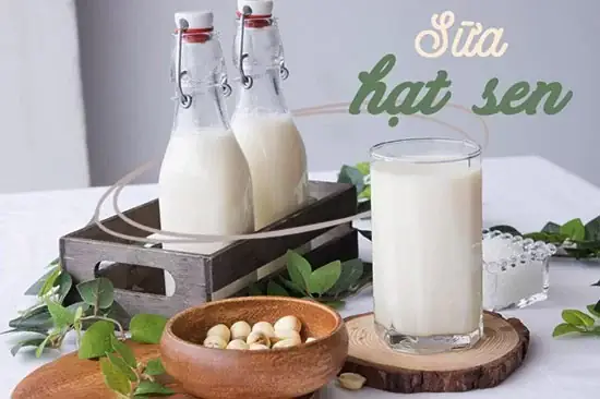 Cách Làm Sữa Hạt Sen Khô Cho Bé Thơm Ngon, Bổ Dưỡng Tại Nhà