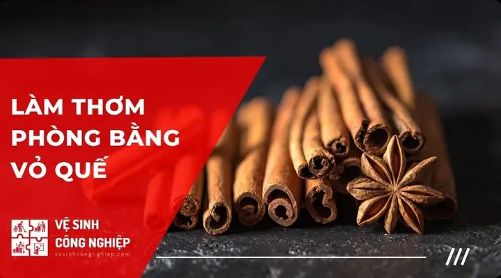 10 Cách Làm Thơm Phòng Bằng Quế Đơn Giản, An Toàn & Hiệu Quả Tại Nhà