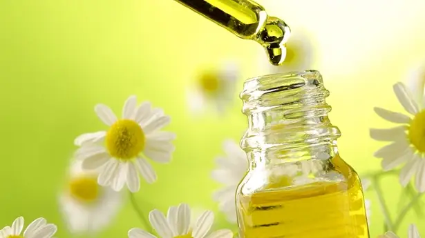 Hướng Dẫn Chi Tiết Cách Làm Tinh Dầu Hoa Cúc Tại Nhà Để Thư Giãn & Chăm Sóc Da