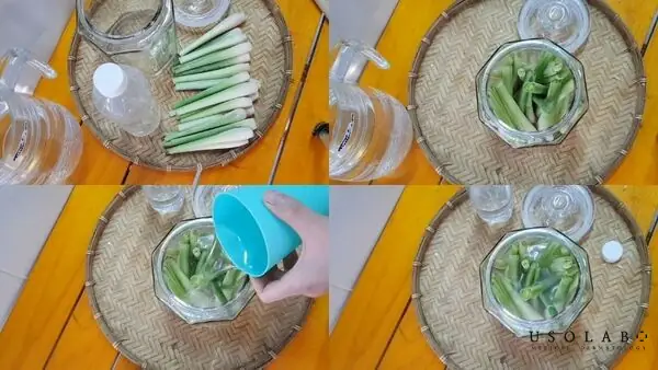 Cách Làm Tinh Dầu Sả Nguyên Chất Tại Nhà Để Xông Mặt Thư Giãn & Chăm Sóc Da