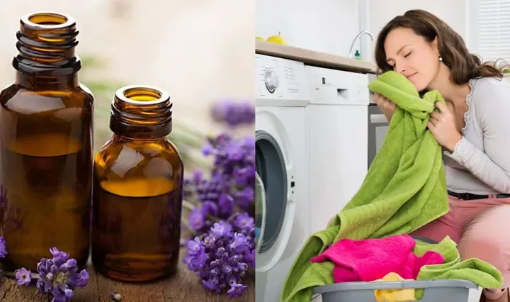 Cách Làm Tinh Dầu Thơm Quần Áo: Công Thức Đơn Giản Tại Nhà & Lưu Hương Lâu Phai Cách Làm Tinh Dầu Thơm Quần Áo: Công Thức Đơn Giản Tại Nhà & Lưu Hương Lâu Phai