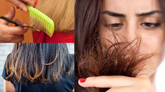 10+ Cách Chăm Sóc Tóc Không Bị Chẻ Ngọn Hiệu Quả Tại Nhà