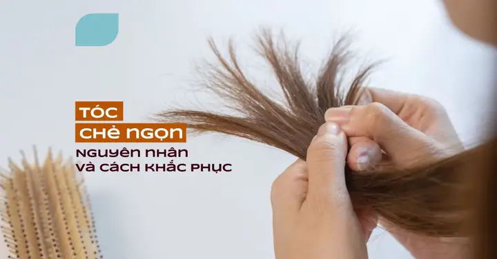 10+ Cách Chăm Sóc Tóc Không Bị Chẻ Ngọn Hiệu Quả Tại Nhà