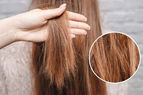 10+ Cách Chăm Sóc Tóc Không Bị Chẻ Ngọn Hiệu Quả Tại Nhà
