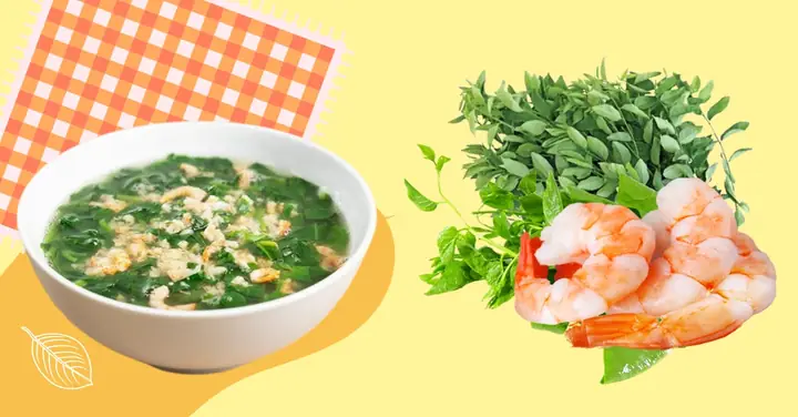 Cách Nấu Bánh Canh Tôm Ngon Chuẩn Vị Cho Bé Ăn Dặm Thơm Ngon, Đủ Dinh Dưỡng