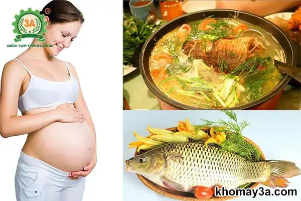 Cháo Cá Chép Cho Bà Bầu: 6+ Cách Nấu Ngon, Bổ Dưỡng, Không Tanh Chuẩn Vị