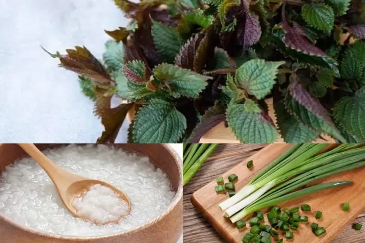 Cách Nấu Cháo Tía Tô Cho Bé: Công Thức Đơn Giản, Giúp Bé Giải Cảm & Ăn Ngon