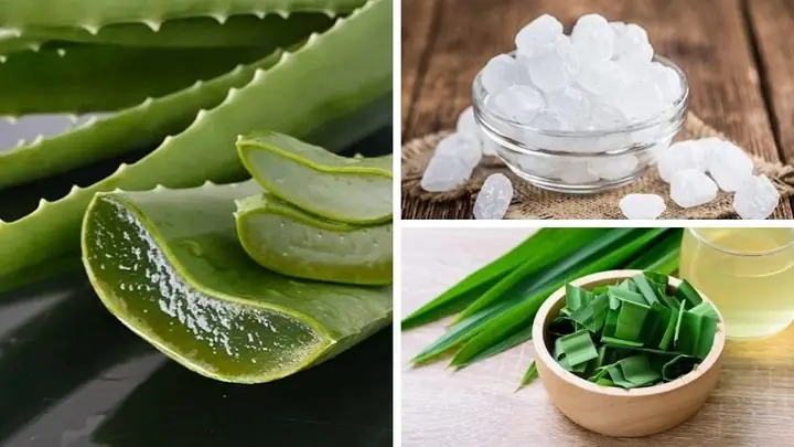 Cách Nấu Nước Nha Đam Lá Dứa Đường Phèn Thơm Ngon, Giòn Tan Tại Nhà Không Đắng, Không Nhớt Cách Nấu Nước Nha Đam Lá Dứa Đường Phèn Thơm Ngon, Giòn Tan Tại Nhà Không Đắng, Không Nhớt