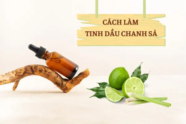 Hướng Dẫn Chi Tiết Cách Chưng Cất Tinh Dầu Sả Chanh Tại Nhà Đơn Giản, Hiệu Quả